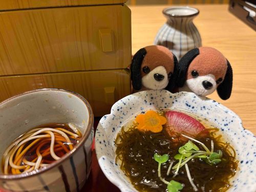くろみとくろこ！
2人とも似てるけど口が違うんだ〜