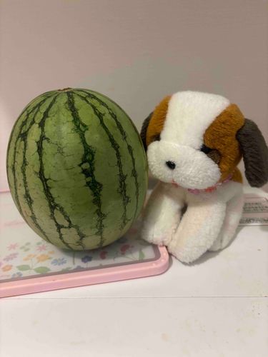 🍉
