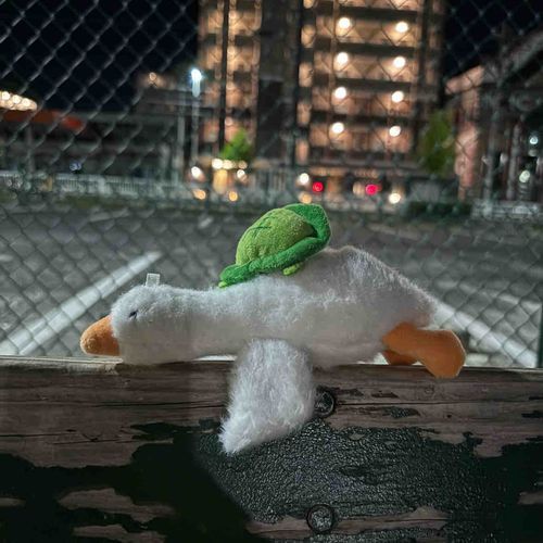 疲れた顔をしている、、