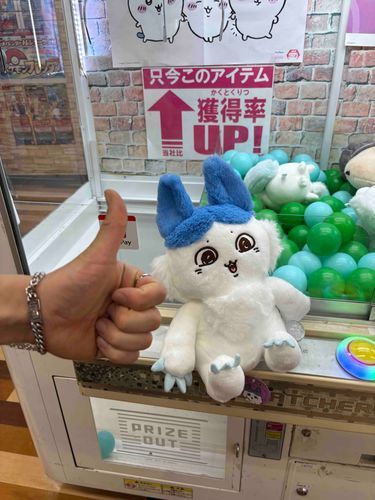 とれた！！