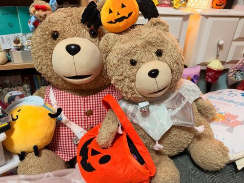 みなさーん。
昨日はテディベアの日🧸だったそうです。