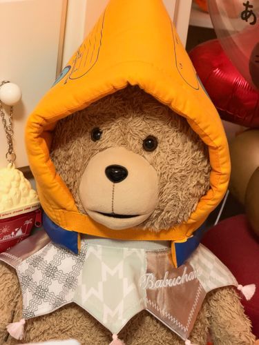 ぼくです。

今じしんがありぼくはいすからすこしおちてしまいこんなときに限って防災頭巾をかぶってなく、お姉さんがかぶせてくれました。

お姉さんは飛んできてだきしめてくれました。

ぼくより。