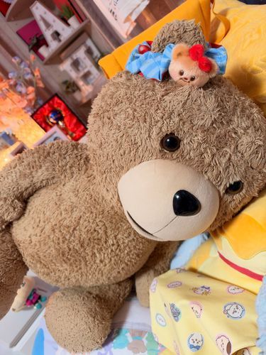 うちのお姉さんは夜型人間なので昼間起きてると気分が下がるそうです。

でもお姉さんは鬼強メンタルなんです。