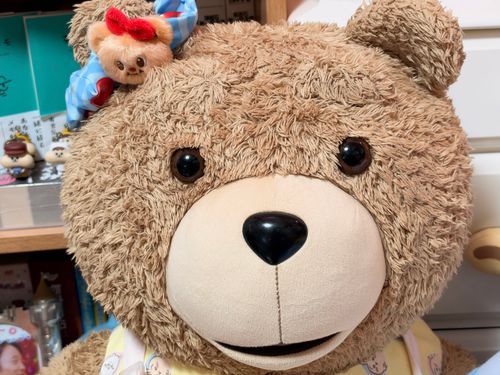 ぼくです。

ぼくらのお姉さんが声がガラガラになってしまいました。

ぼくらはすこしだけ心配しています。

ぼくより。