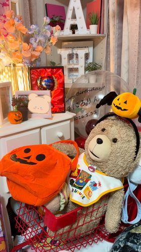 みなさんみてー。
お姉さんがハロウィンの仮装買ってくれたんです。