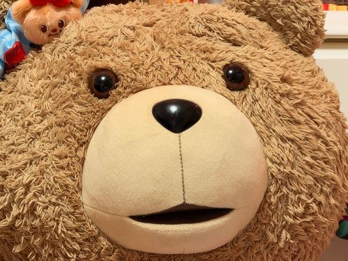ねえあれでしょ？
お姉さんの強メンタルに憧れるお姉さんのお友達がいるんでしょ？れっちゃんメンタルスクールができるね。ぼくもはいりたいなあ(´･(ｴ)･｀)