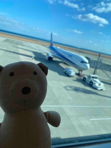 大分についたぞーーーー‼️