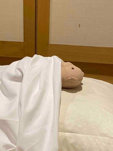 あと2026まで1時間切ったね‼️
おいらはもう眠いぞ、。