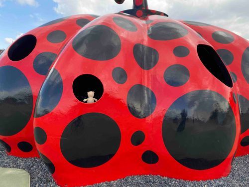 直島にきたぞー！
あかかぼちゃがあった！
おいらのこと見つけられるかなーっ？