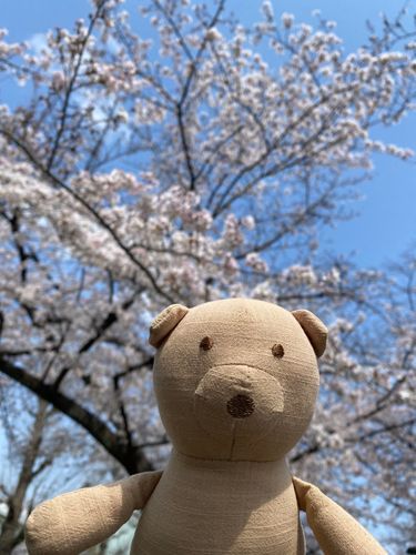これは..さくらっていうやつらしい！
おいらよりでかい...だと！？