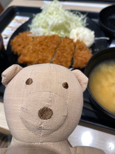 とんかつだぞ！
さくさくおいしいぞーー！！