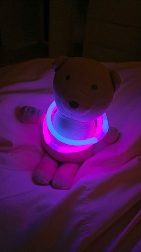 おいらかっこいいだろ！
ふふふー！！
