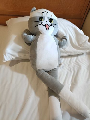 くつろぐ仕事猫