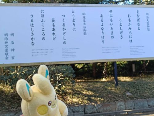 明治神宮に行った時のパモット