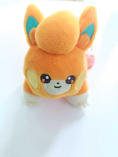 初めてお迎えした時のパモ