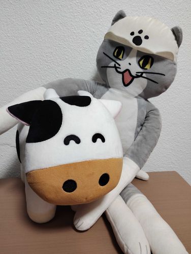 成田ゆめ牧場でゆめこちゃんお迎えしました、ニコニコで可愛い