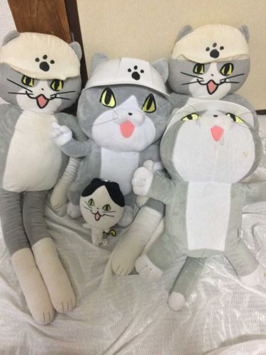 かなり古めのIpadをお迎えしたので記念にIpadで仕事猫達を写してみました