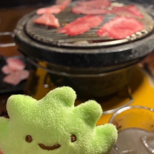 お久しぶりお肉食べたよ‪🌱‬