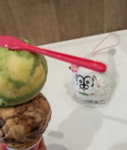 チワがぜ〜んぶいただきチワ！🍨