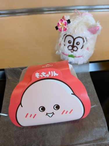 チワににてるっていわれたチワ！そうチワかぁ〜？？？