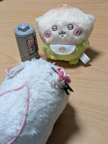しんいりがきたチワ
チワのいうことよくきくんチワよ