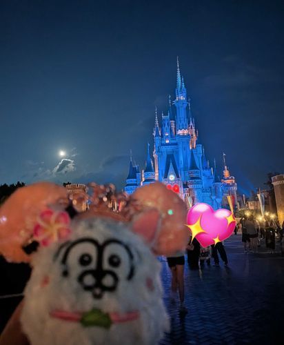 ゆめのくににいってきチワよ✨️