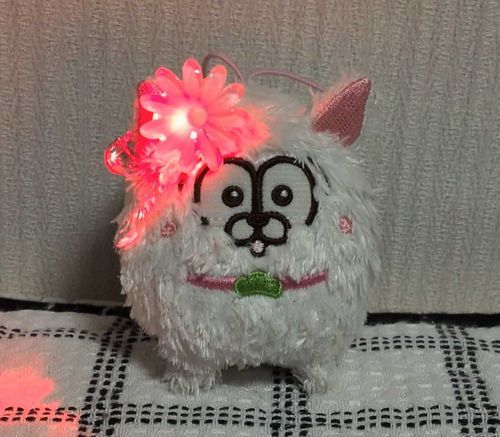ぴっかぴかぱーりないチワ！✨️✨️