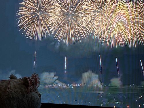 はなびたいかいをはいしんでみたチワ！
きれーチワな〜🎆✨️