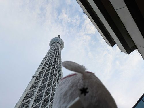 でっかでかチワなー！！