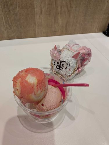 アイスがチワだけにたべてほしいっていってるチワ🍨
