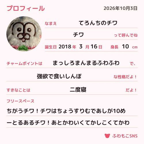 チワのぷろふぃーるチワ！