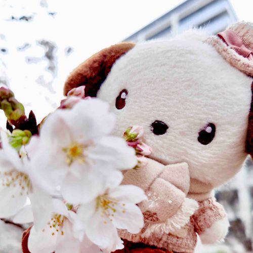 すんすん……🌸
どきどきわくわくのにおい✨