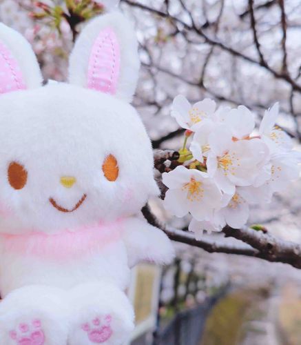 さくらの日🌸
ひきこもりがちだけど、みんなと一緒ならおでかけしたくなるね😌