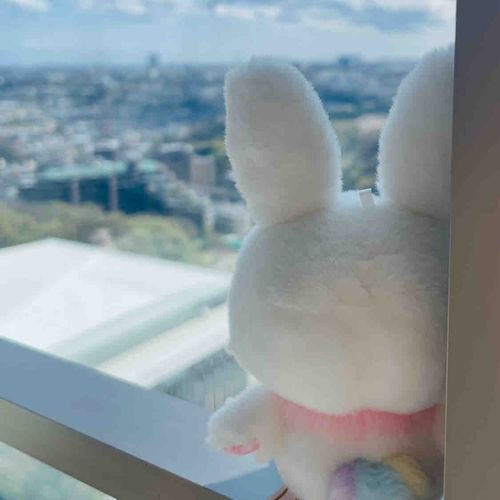 たかいとこ、来たね〜🌼
ぽかぽかあたたかかったよ✨