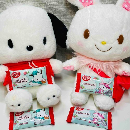 メッセージもついてるよ！✨
あげても、もらっても、うれしいね☺️💓