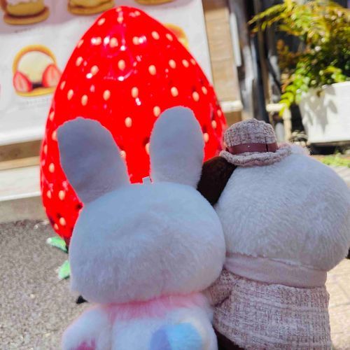 おっっきな いちごだね〜！🍓