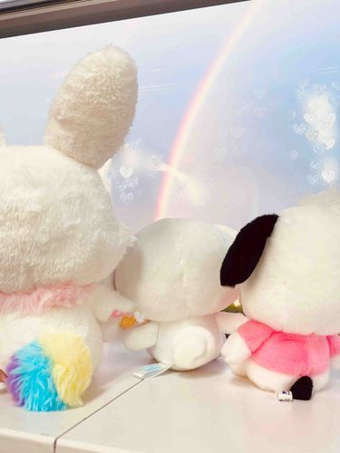 おひさしぶりです🌼
ついこの前、いつもいる研究室からおっきくてキレイな虹がみえました🌈
みんなでみれて、しあわせいっぱいだったよ🥰
メルちゃんのしっぽと、おそろいだね🌈