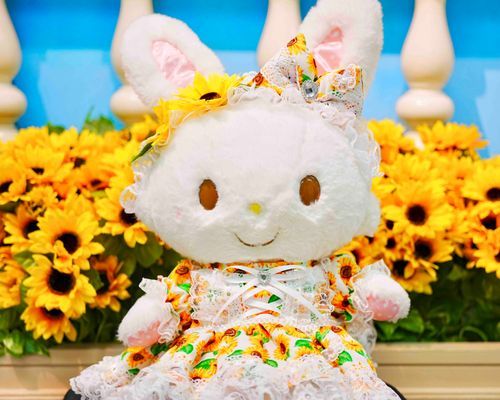 ひまわりいっぱい🌻✨
きらきら笑顔がまぶしいよ🫶🏻💖
