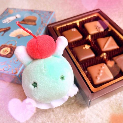 もちぬし が おたんじょうび だった
ぷれぜんと の ちょこれーと たべてた

ゆめみうし🍒