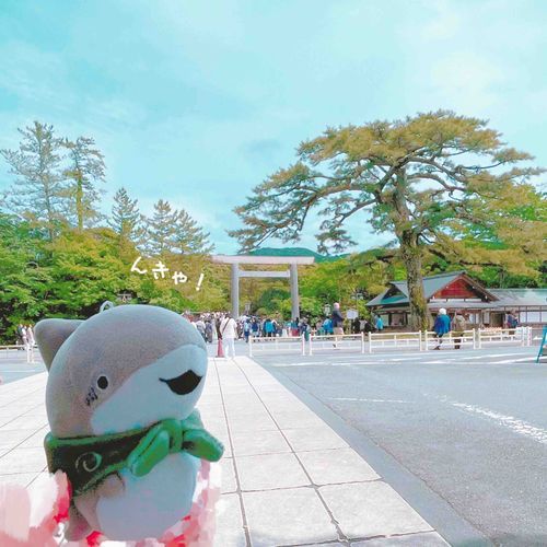 おいせさん へ さんぱい⛩

子ザメちゃん🦈