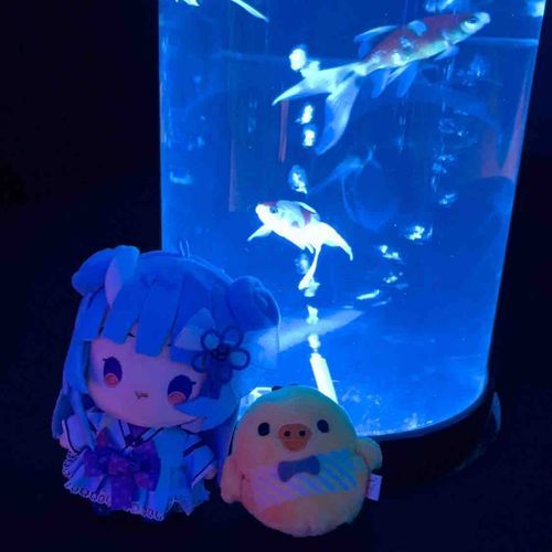 キイロイトリ と つーしょっと📷✨

ねねまる🦋⛩