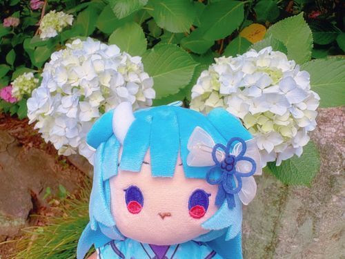 💠ぽんぽん💠

ねねまる🦋⛩