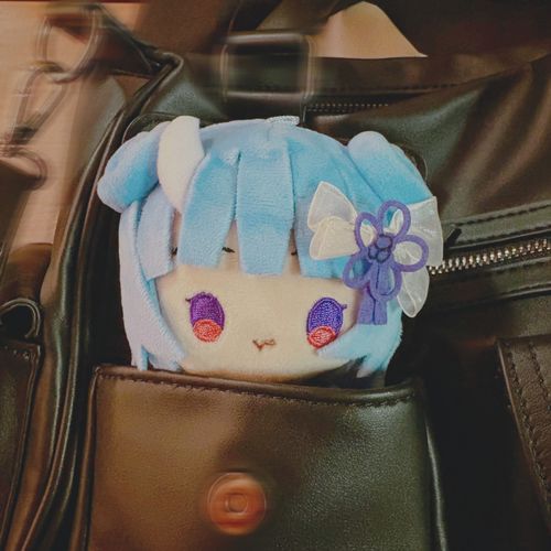 おでかけ？

ねねまる🦋⛩