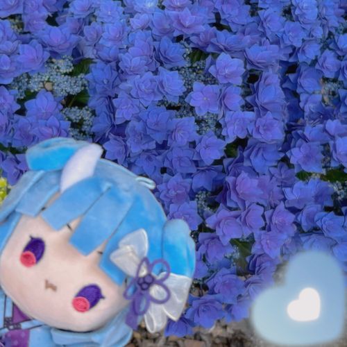 💠💙💜💠

ねねまる🦋⛩