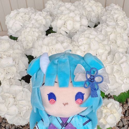 💠🤍🤍💠

ねねまる🦋⛩