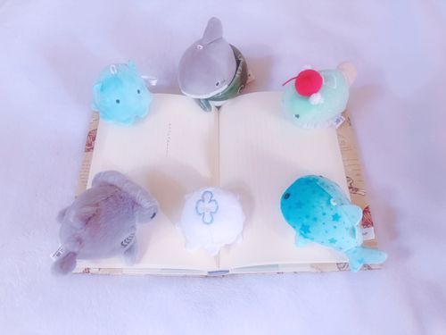 あさ どくしょ たいむ 🔖

だいめいに 吸い寄せられた みなさま🩵💙🩶🤍