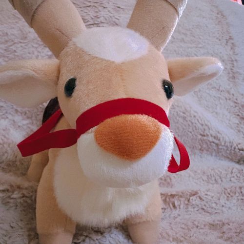 おはよ……はい、おきます

ヤックル🌟