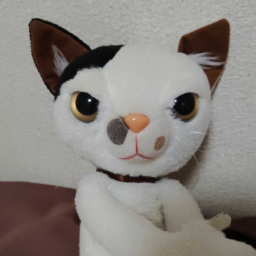はじめまして、ジュラルミンだよ。
スクラッチキャットっていうんだって。
でもひっかかないよ！
あんしんしてね。