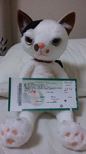いまの「ずっとのおうち」にきたころのしゃしんだよ。
わるいかおしてたからつれてきた、っていってた。
いまはやさしいかおになったっていわれるんだ。そうかな？なんでだろ？