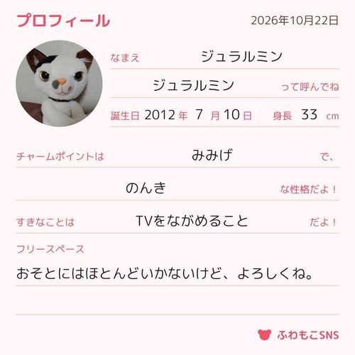 ぷろふぃいるかけた！